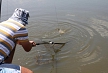 pescuit_crap_786504_20