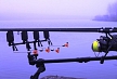 pescuit_crap_791927_51