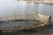pescuit_crap_79491_28