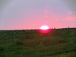 pescuit_crap_815995_41