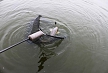 pescuit_crap_826152_51