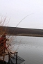 pescuit_crap_836664_51