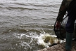 pescuit_crap_846311_55