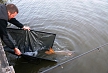 pescuit_crap_847919_46