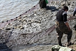 pescuit_crap_848454_53
