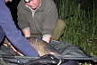 pescuit_crap_85343_20