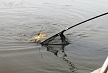 pescuit_crap_879936_19