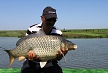 pescuit_crap_883803_18