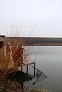 pescuit_crap_896826_51