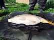 pescuit_crap_91147_35