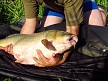 pescuit_crap_915143_42