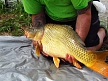 pescuit_crap_922455_36