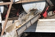 pescuit_crap_952442_53
