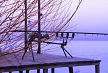 pescuit_crap_953948_51