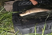 pescuit_crap_958645_20
